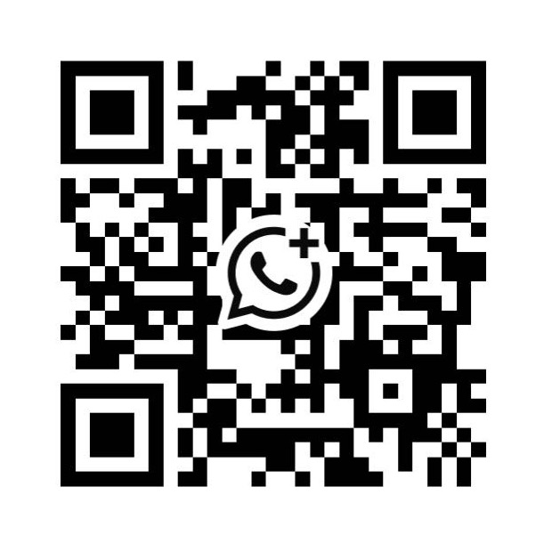 LILY WhatsApp QR